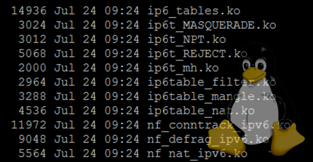 IPv6 modules in SSH console